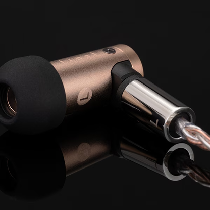 Final S6000 In-Ear Earphones