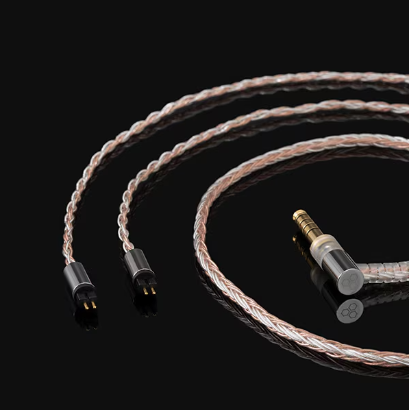 Final S6000 In-Ear Earphones