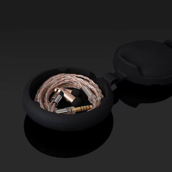 Final S6000 In-Ear Earphones