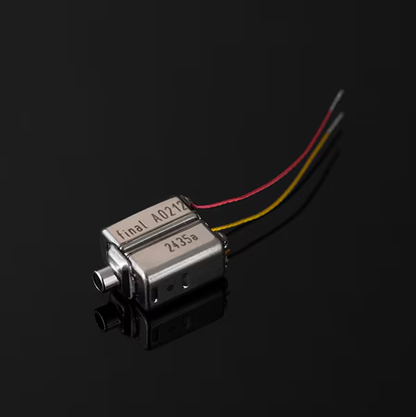 Final S6000 In-Ear Earphones