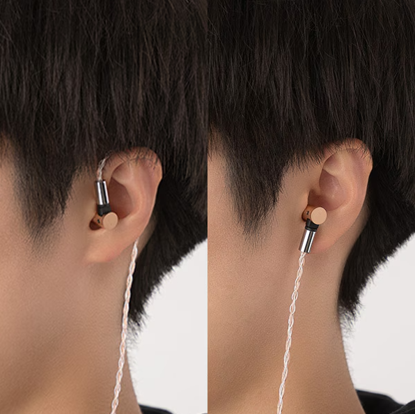 Final S6000 In-Ear Earphones