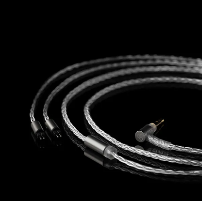 Final S4000 BA In-Ear Earphones