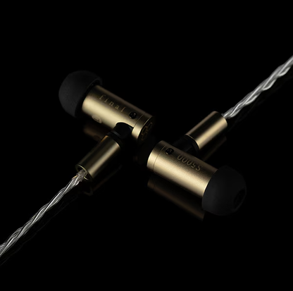 Final S5000 In-Ear Earphones – Dual BA Drivers
