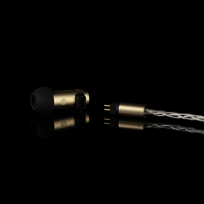 Final S5000 In-Ear Earphones – Dual BA Drivers