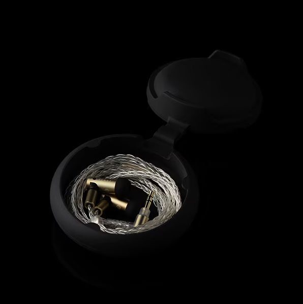 Final S5000 In-Ear Earphones – Dual BA Drivers