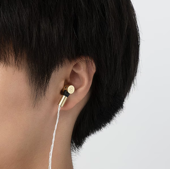 Final S5000 In-Ear Earphones – Dual BA Drivers