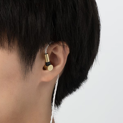 Final S5000 In-Ear Earphones – Dual BA Drivers