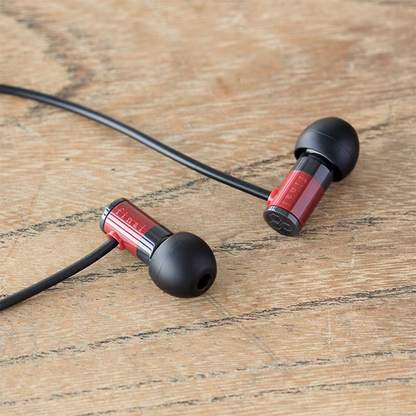 Final E1000 Hi-Res In-Ear Earphones