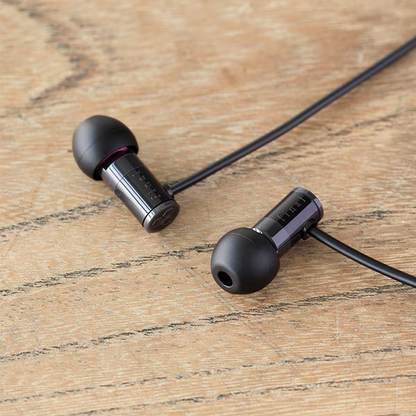 Final E1000 Hi-Res In-Ear Earphones