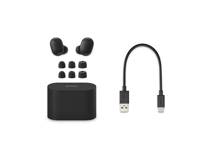 Sony WF-1000XM6 Wireless Noise Cancelling Earbuds