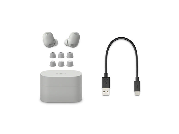 Sony WF-1000XM6 Wireless Noise Cancelling Earbuds