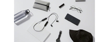 Sony WI-C100 Wireless In-Ear Bluetooth Headphones