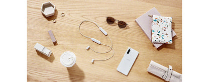Sony WI-C100 Wireless In-Ear Bluetooth Headphones