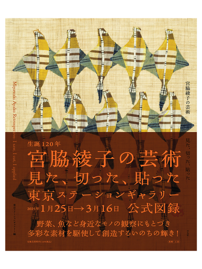 Art Exhibition Catalog Miyawaki Ayako Art Oversized Book Japanese