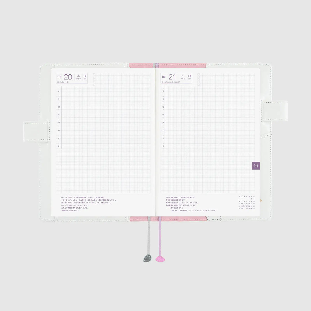 Hobonichi Techo 2027 Leo Lionni Frederick Colors A5 Cousin Planner Cover