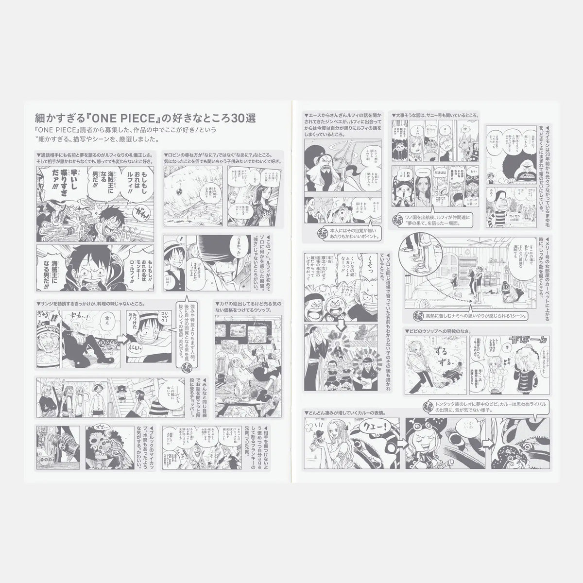 【Pre-Order】Hobonichi Techo Original ONE PIECE 2027 A6 Special Edition