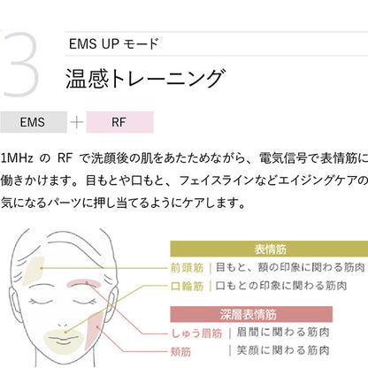 YA-MAN Tokyo Japan RF Beauty Device Photo Plus